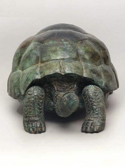 ब्रासॉरा® कांस्य कछुआ प्रतिमा | ऊंचाई 15 इंच और वजन 11.40 किलोग्राम