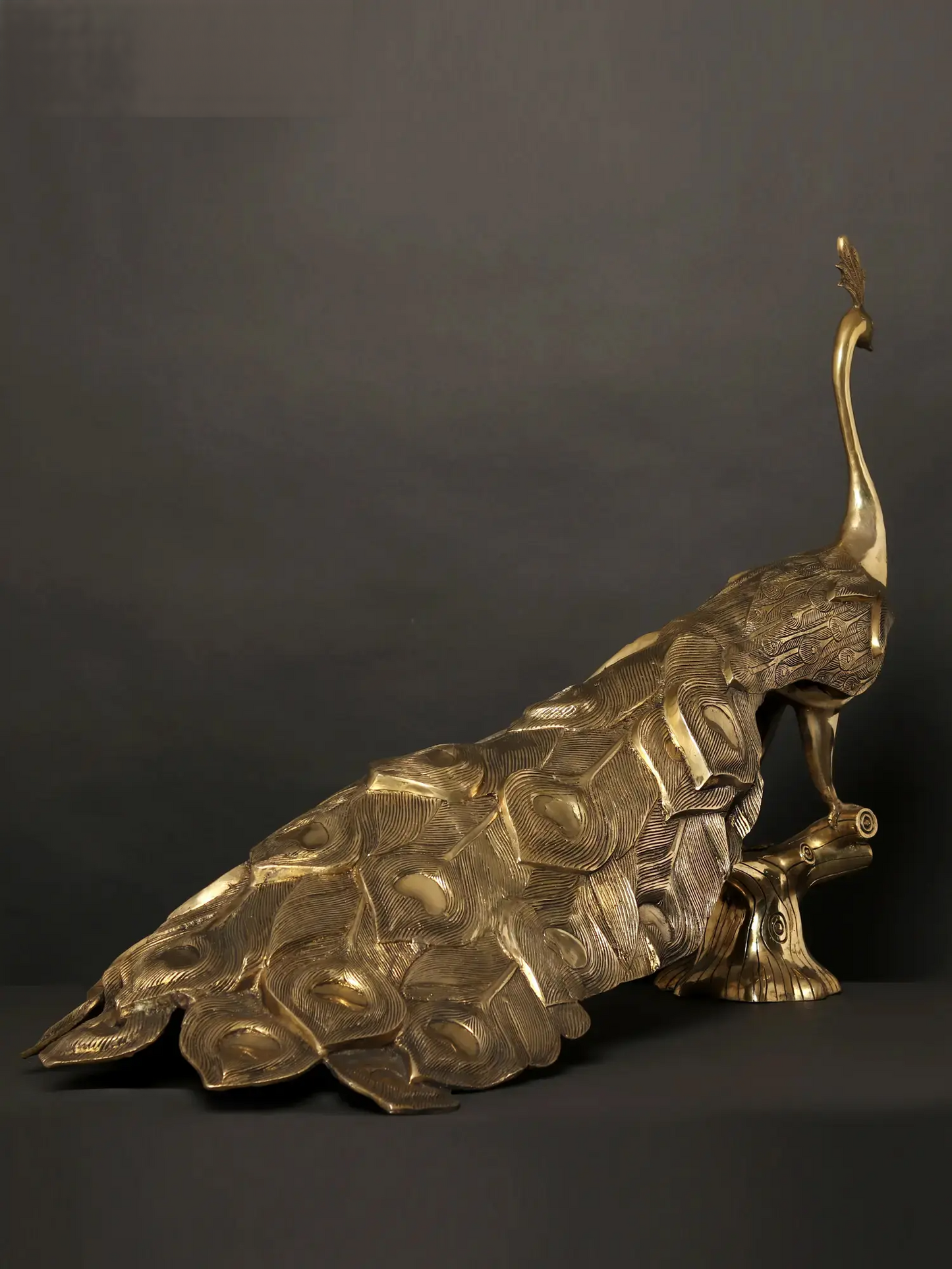Brassaura® Brass Peacock Sculpture | Pure Brass | Height 24.6 Inches & Weight 23.45 kgs