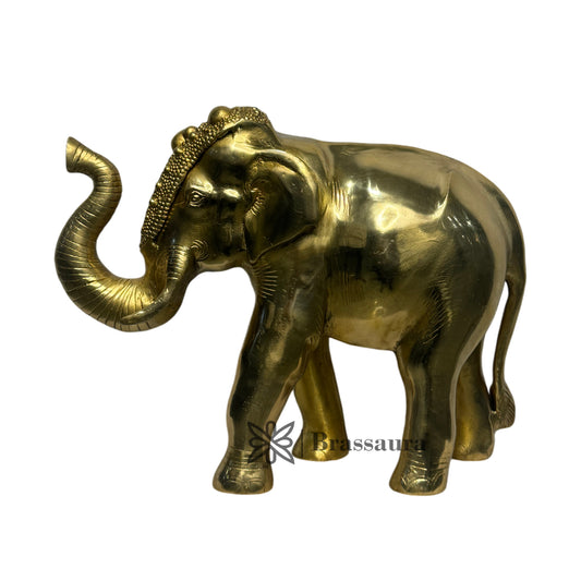 Brassaura® Brass Elephant Statue | Handcrafted Decorative Showpiece | Height 11.8 Inches & Weight 10 Kgs