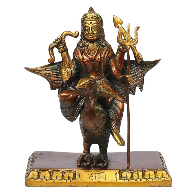 Brass Dark Sanidev Murti for Home and Decor Height 18 cm Weight 1.6 Kg