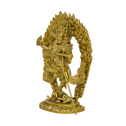 Brass Vajravarahi Traditionally Hand Carved Statue for Home and Decor Show Piece Height 23 cm Weight 1.1 Kg