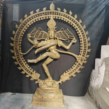 ब्रासोरा® वृंदावन वेणुगोपाल कृष्ण पीतल की प्रतिमा मोर के साथ | एंटीक नीला और सुनहरा रंग | ऊँचाई 20 इंच
