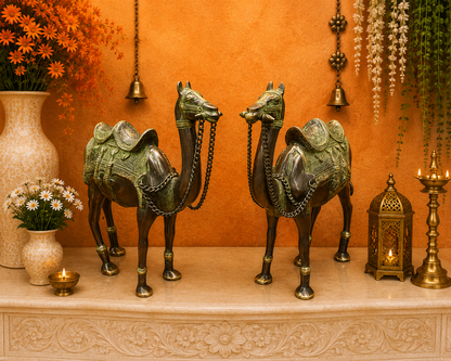 Brassaura® Brass Camel Statue Set | Handcrafted Decorative Camel Figurines for Living Room, Home Décor & Office Showpiece | 17 Inches | 15.8 Kg