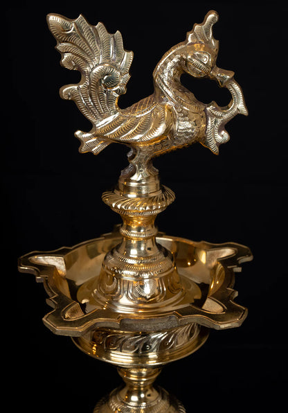 Brass Peacock deepam Weight 12 Kg And Height 38 Inch