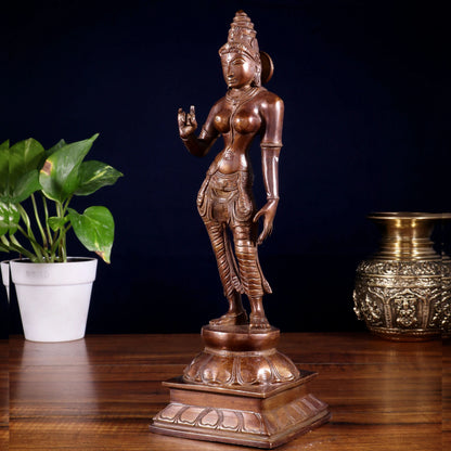 Brassaura™ Standing Devi Parvati Uma Idol | Pure Brass with Vintage Chola Bronze Finish | Height 10 Inches & Weight 2.5 Kgs