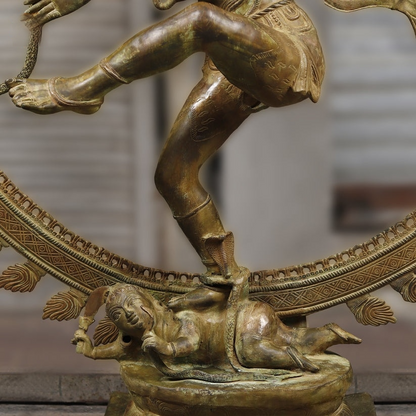 Brassaura™ Brass Natraj Statue | Height 72 Inches & Weight 158 kg