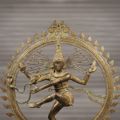 Brassaura™ Brass Natraj Statue | Height 72 Inches & Weight 158 kg