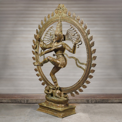 Brassaura™ Brass Natraj Statue | Height 72 Inches & Weight 158 kg