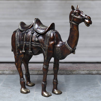 Brassaura™ Brass Big Camel for Home Decor | Height 49 Inches & Weight 108.450 kg
