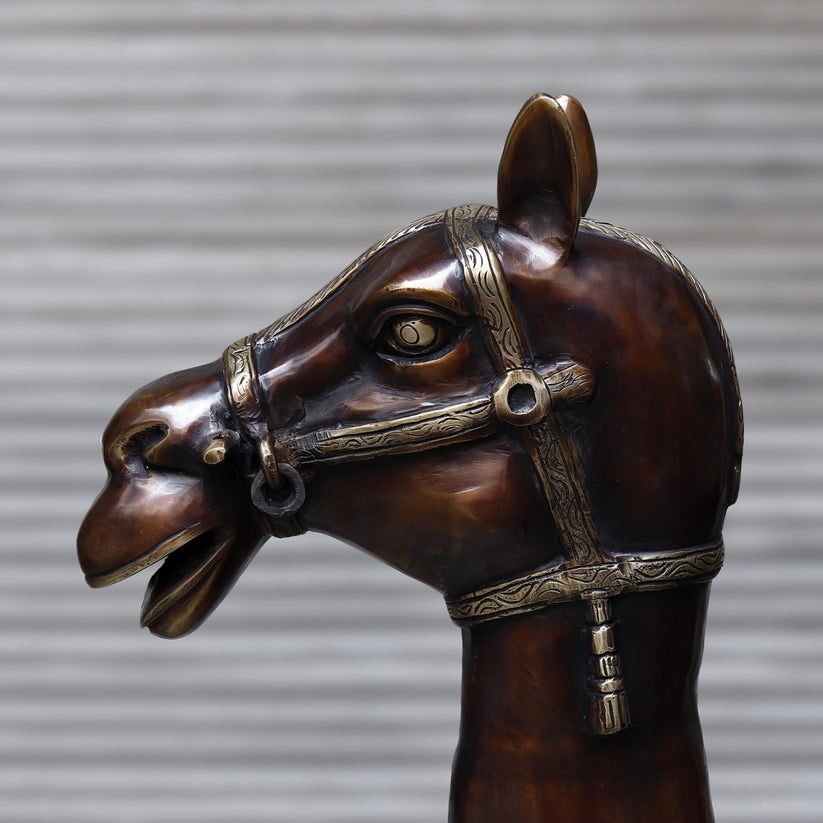 Brassaura™ Brass Big Camel for Home Decor | Height 49 Inches & Weight 108.450 kg