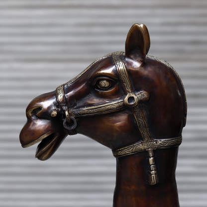 Brassaura™ Brass Big Camel for Home Decor | Height 49 Inches & Weight 108.450 kg