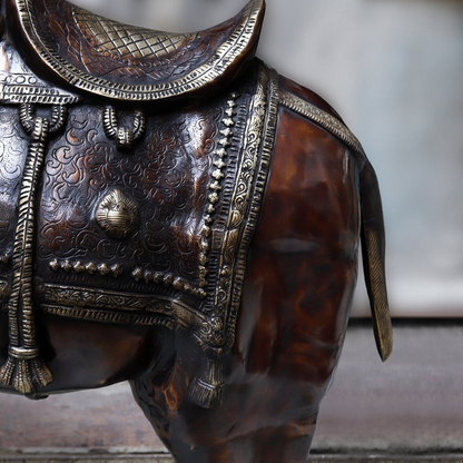 Brassaura™ Brass Big Camel for Home Decor | Height 49 Inches & Weight 108.450 kg