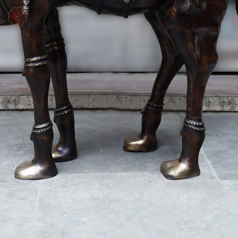 Brassaura™ Brass Big Camel for Home Decor | Height 49 Inches & Weight 108.450 kg