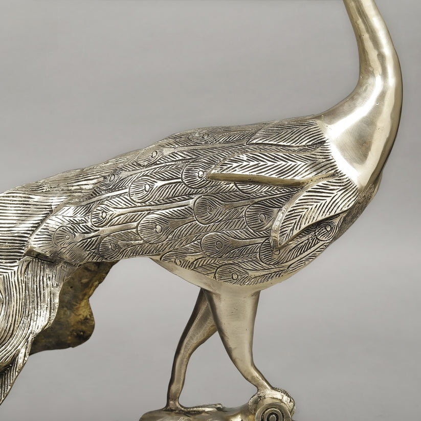 Brass Peacock, Fine Golden Finish, 25"