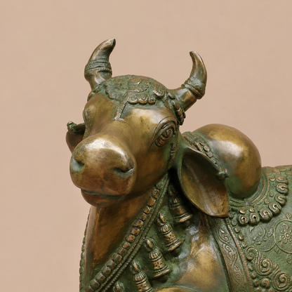 Brassaura® Nandi Bull Reclining Idol with Green Algae Finish | Pure Superfine Brass Handcrafted Murti | Brass Statue for Home Temple, Pooja Room | Height 14 Inches | Weight 18.2 Kgs