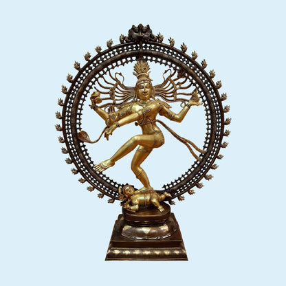 Brassaura® Lord Nataraja in Cosmic Dance Pose | Two-Tone Brass Sculpture | Height 37 Inches & Weight 35 Kgs