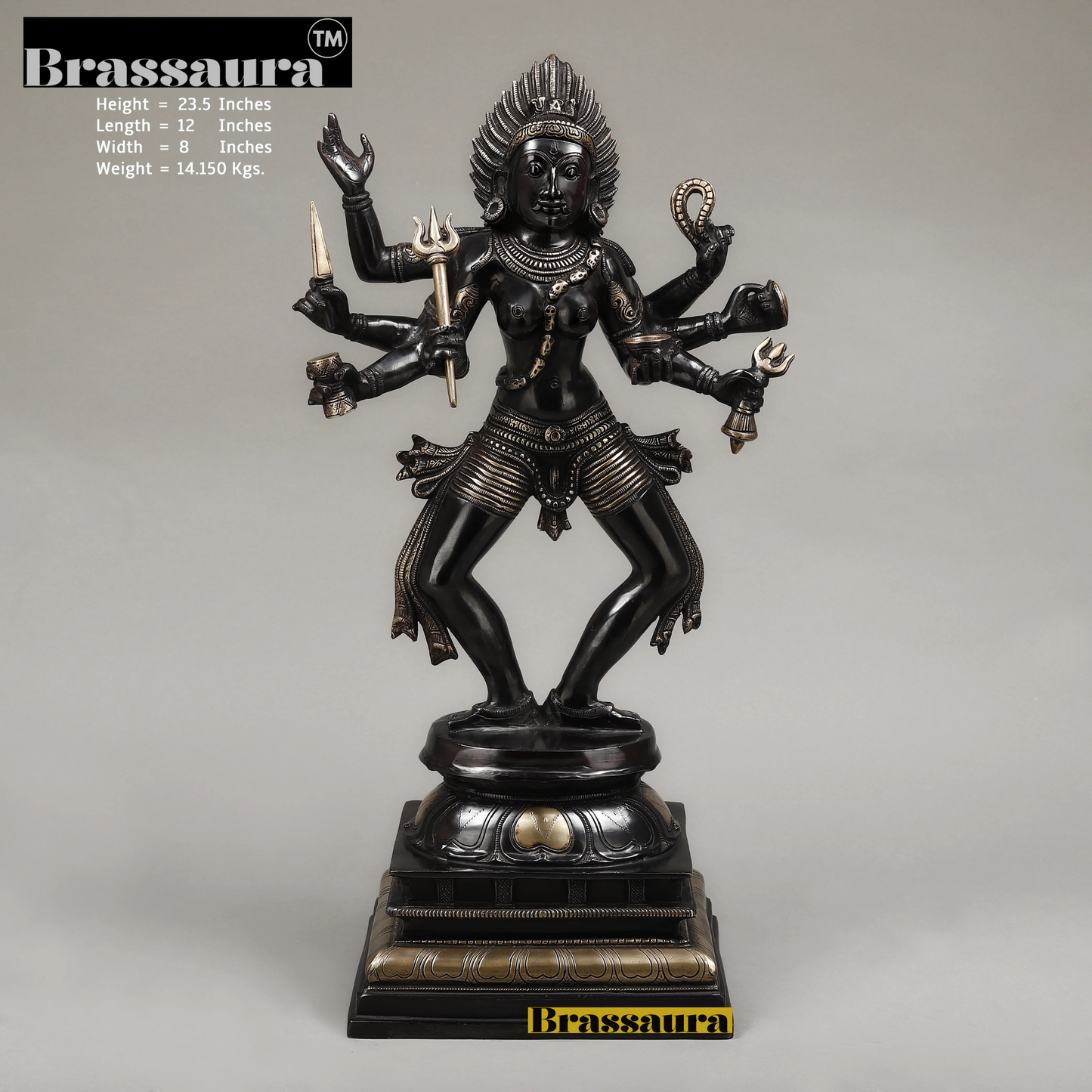Brassaura™ Brass Kaal Bhairav Idol Standing on Pedestal – 23.5 inch | 14.15 kg | Deep Black with Golden Finish for Home & Temple Decor