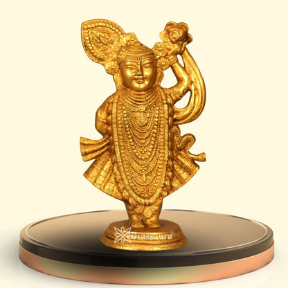 Brass Gowardhan Maharaj Murti Weight 4 Kg And Height 12.4 Inch