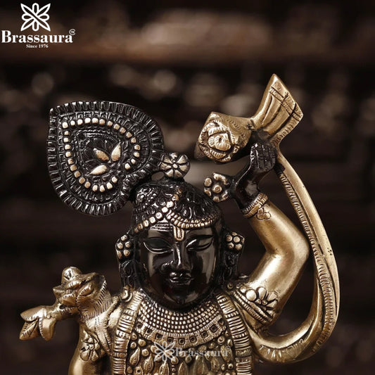 Brassaura® Shreenath Ji Standing Idol with Golden & Black Patina Finish | Pure Superfine Brass Handcrafted Murti | Brass Statue for Home Temple, Pooja Room | Height 17 Inches | Weight 7.8 Kgs