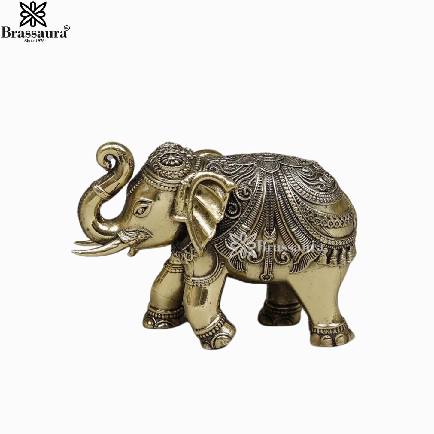 Brass Super Fine Elephant For Home Décor And Gift Items Weight 0.210 kg Height 3 Inch