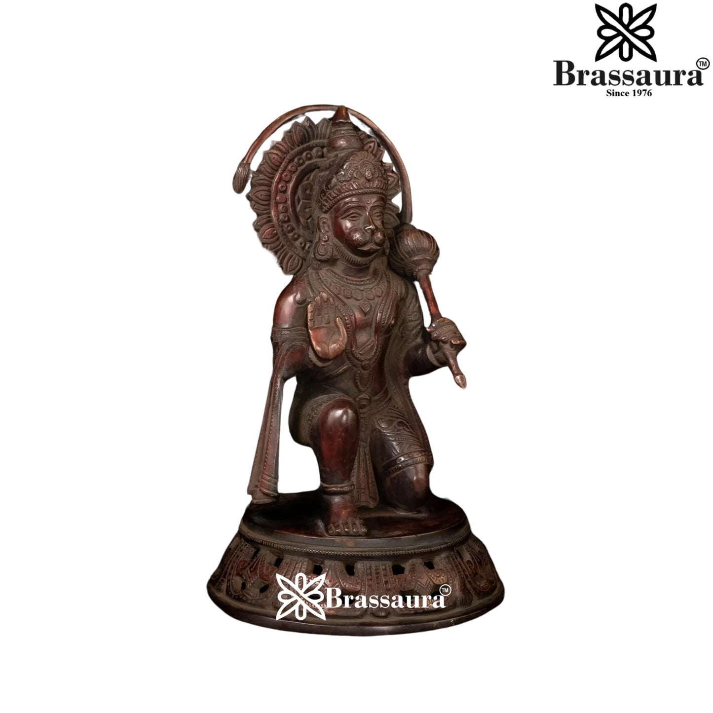 Brass Hanuman Statue Weight 5 Kg And Height 11 Inch