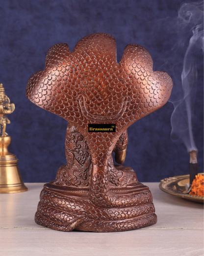 Brassaura™ Pure Brass Buddha Idol – Blessing Buddha Under Muchalinda, Height 8 Inches, Weight 2.33 Kgs