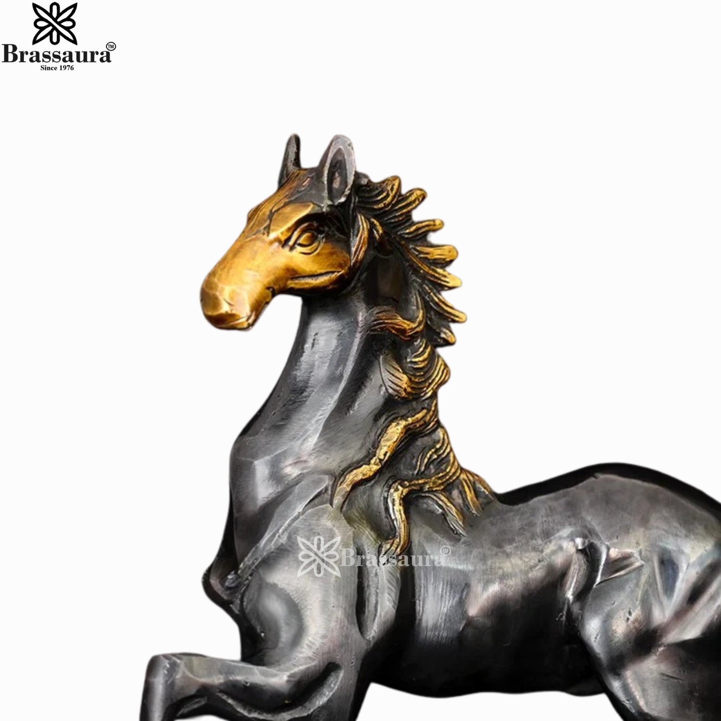 Brass Big Horse For Home Décor And Gift Items Weight 2.74 kg Height 10.5 Inch