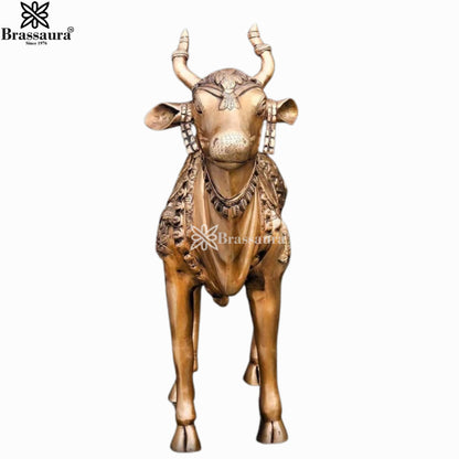 Brass Nandi For Home Décor And Gift Items Weight 33.46 kg Height 27 Inch