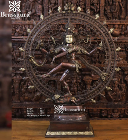 Brass Dancing Natraj Statue Weight 58 Kg And Height 47.5 Inch