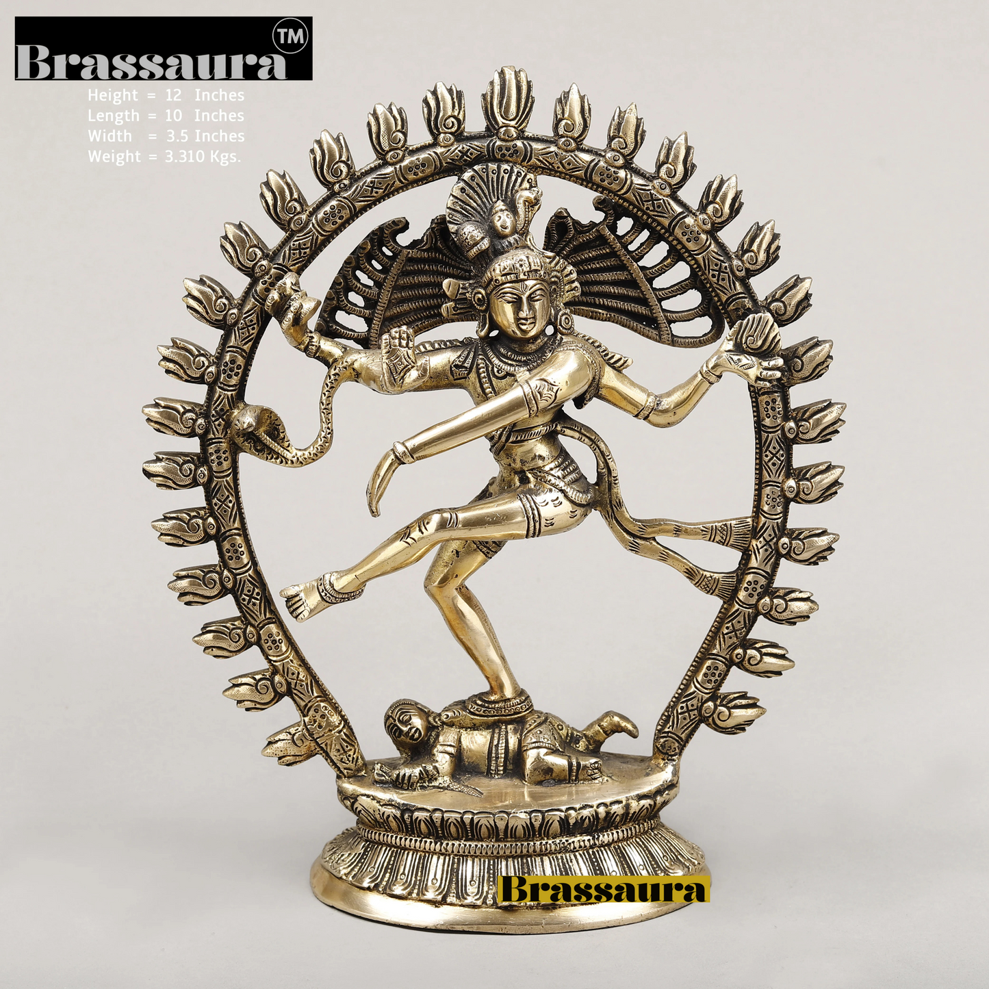 Brassaura™ Brass Nataraja Idol – 12 inch Height | 3.2 kg | Shiva Dancing on Apasmara | Handcrafted Spiritual Statue for Home & Temple Decor