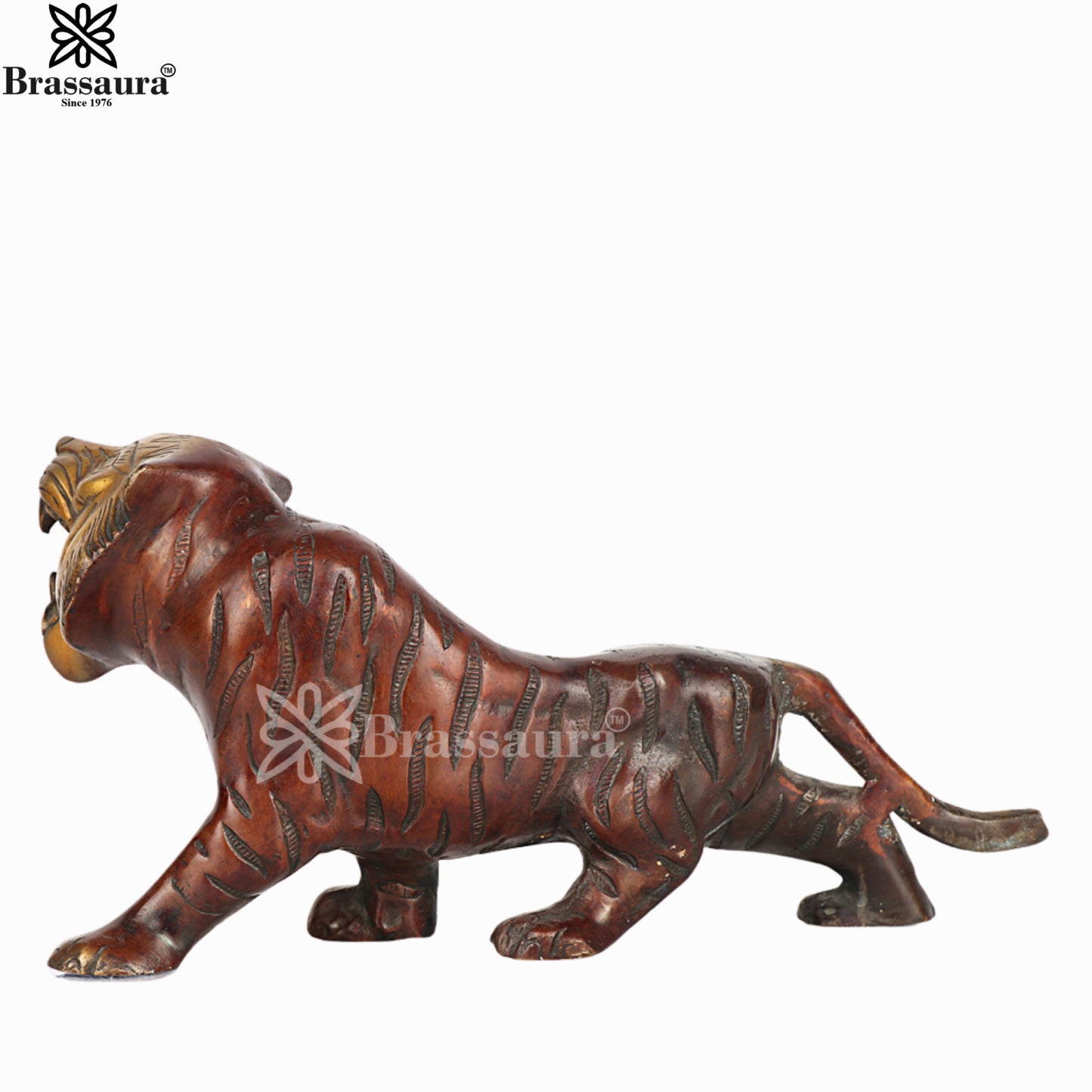 Brass Tiger For Home Décor And Gift Items Weight 3.2 kg Height 7 Inch