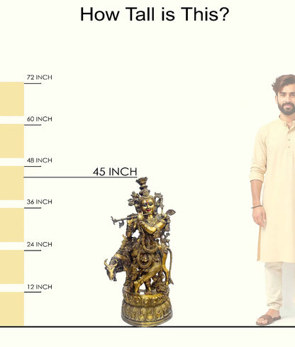 ब्रासोरा® वृंदावन वेणुगोपाल कृष्ण पीतल की प्रतिमा मोर के साथ | एंटीक नीला और सुनहरा रंग | ऊँचाई 20 इंच