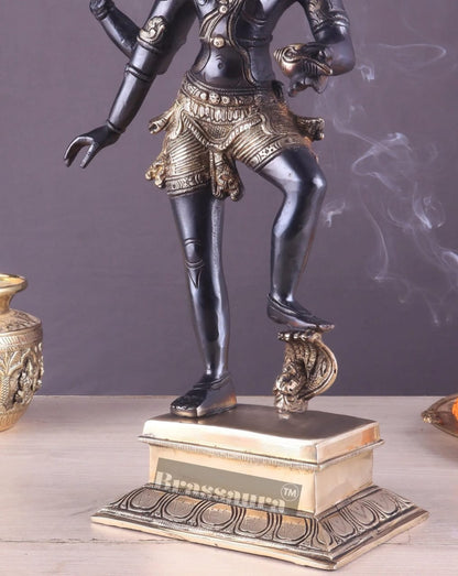 Brassaura™ Pure Brass Lord Narasimha Rescuing Bhooma Devi Idol – 17.5 Inch Height, 6.3 kg Weight | Handcrafted Hindu Statue for Pooja & Decor