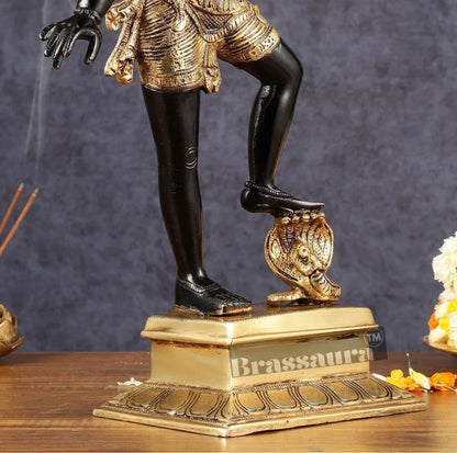 Brassaura™ Pure Brass Lord Varaha with Bhooma Devi Idol – 17.5 Inch Height, 6.3 kg Weight | Handcrafted Vishnu Avatar Statue for Home & Temple