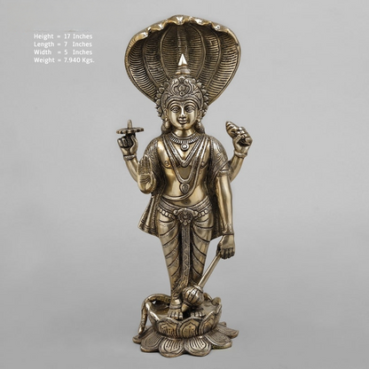 Brass Vishnu Smooth finish 17” Inches