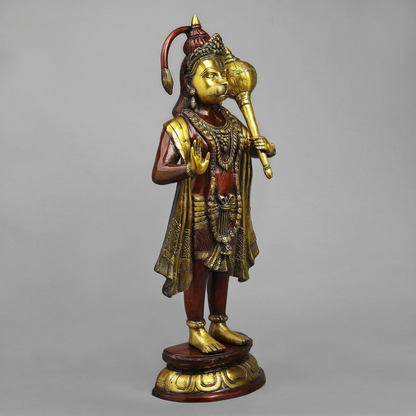 Brass Hanuman Standing Fine , Rich copper Finish 25.5” Inch