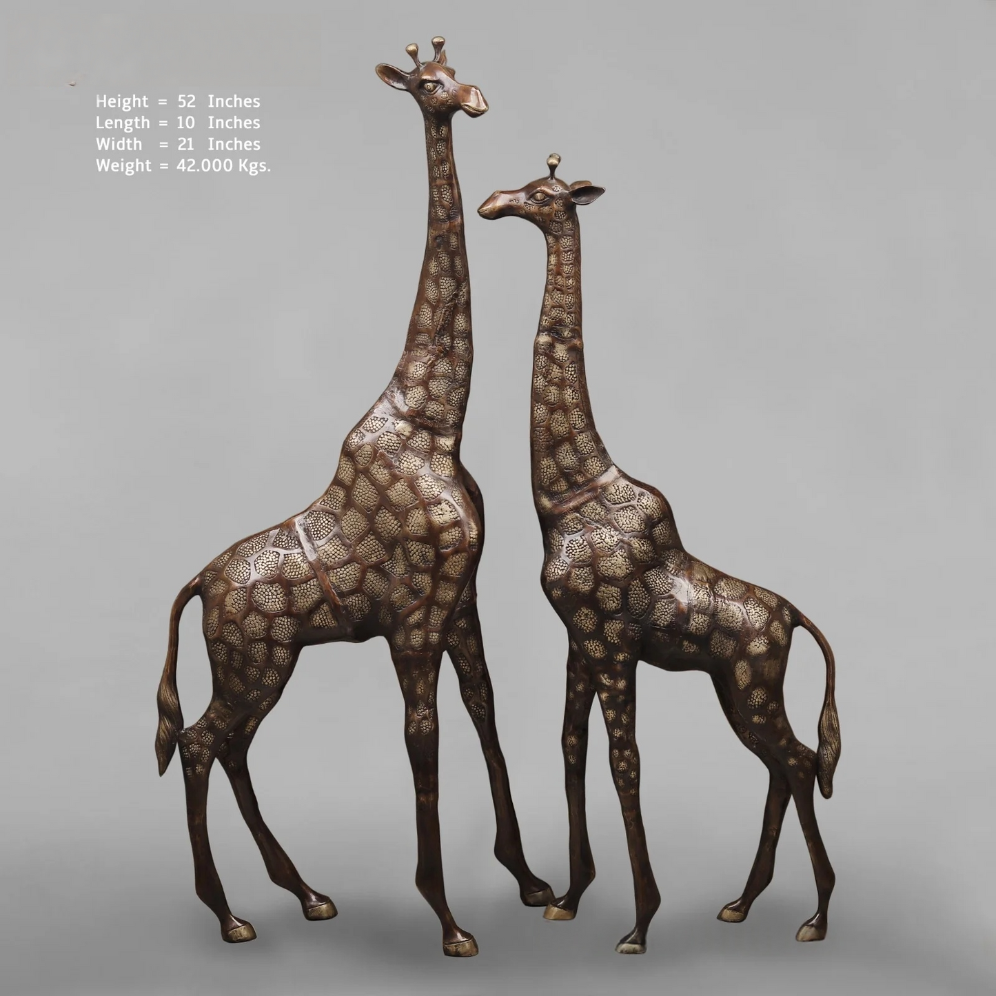 Brassaura® Brass Giraffe Standing Statue Set | Copper Finish Wildlife Décor | Height 52 Inches & Weight 42 Kgs