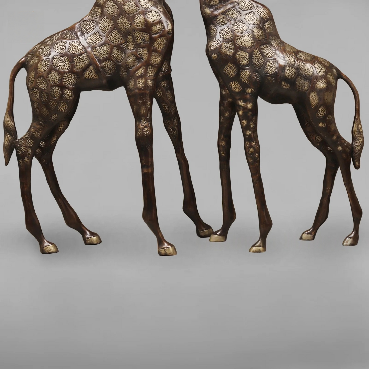 Brassaura® Brass Giraffe Standing Statue Set | Copper Finish Wildlife Décor | Height 52 Inches & Weight 42 Kgs