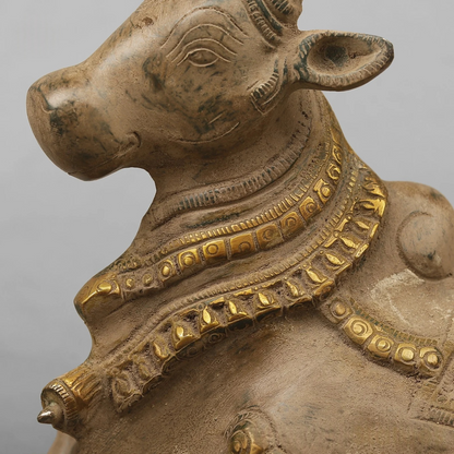 Brassaura® Brass Nandi Bull Statue | Handcrafted Sacred Nandi Maharaj Idol for Home Temple, Pooja & Spiritual Décor | Antique Green & Gold Finish | 7 Inches | 3.36 Kg