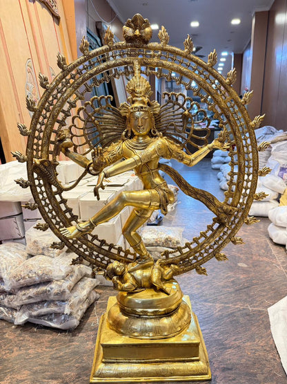 ब्रासौर™ बड़ी पीतल नटराज प्रतिमा | दिव्य ब्रह्मांडीय नृत्य | ऊँचाई 48 इंच और वज़न 55 किलोग्राम
