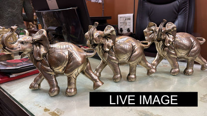 Brass Baby Elephant Statue Weight 5.96 Kg And Height 10 Inch