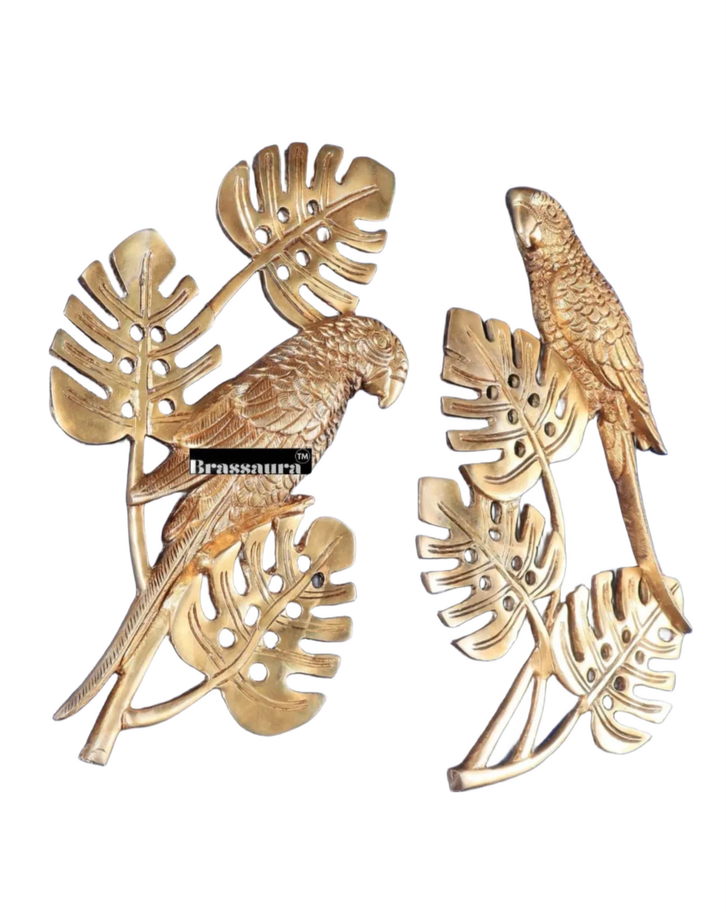 Brassaura™ Brass Parrot Wall Hanging – Height 15 Inches & Weight 2.8 Kgs (Pair)