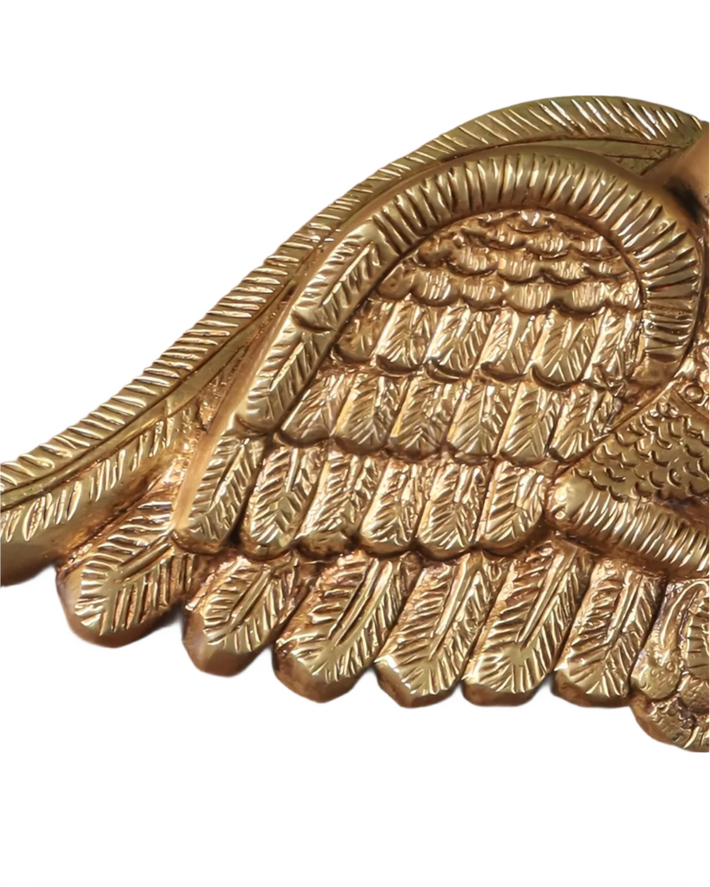 Brassaura™ Brass Parrot Pair – Weight 1.8 Kgs