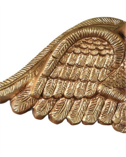 Brassaura™ Brass Parrot Pair – Weight 1.8 Kgs
