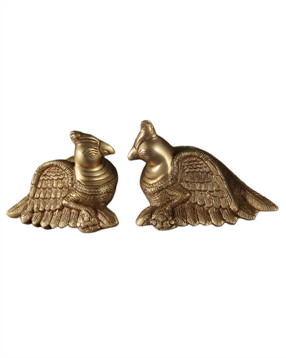 Brassaura™ Brass Parrot Pair – Weight 1.8 Kgs