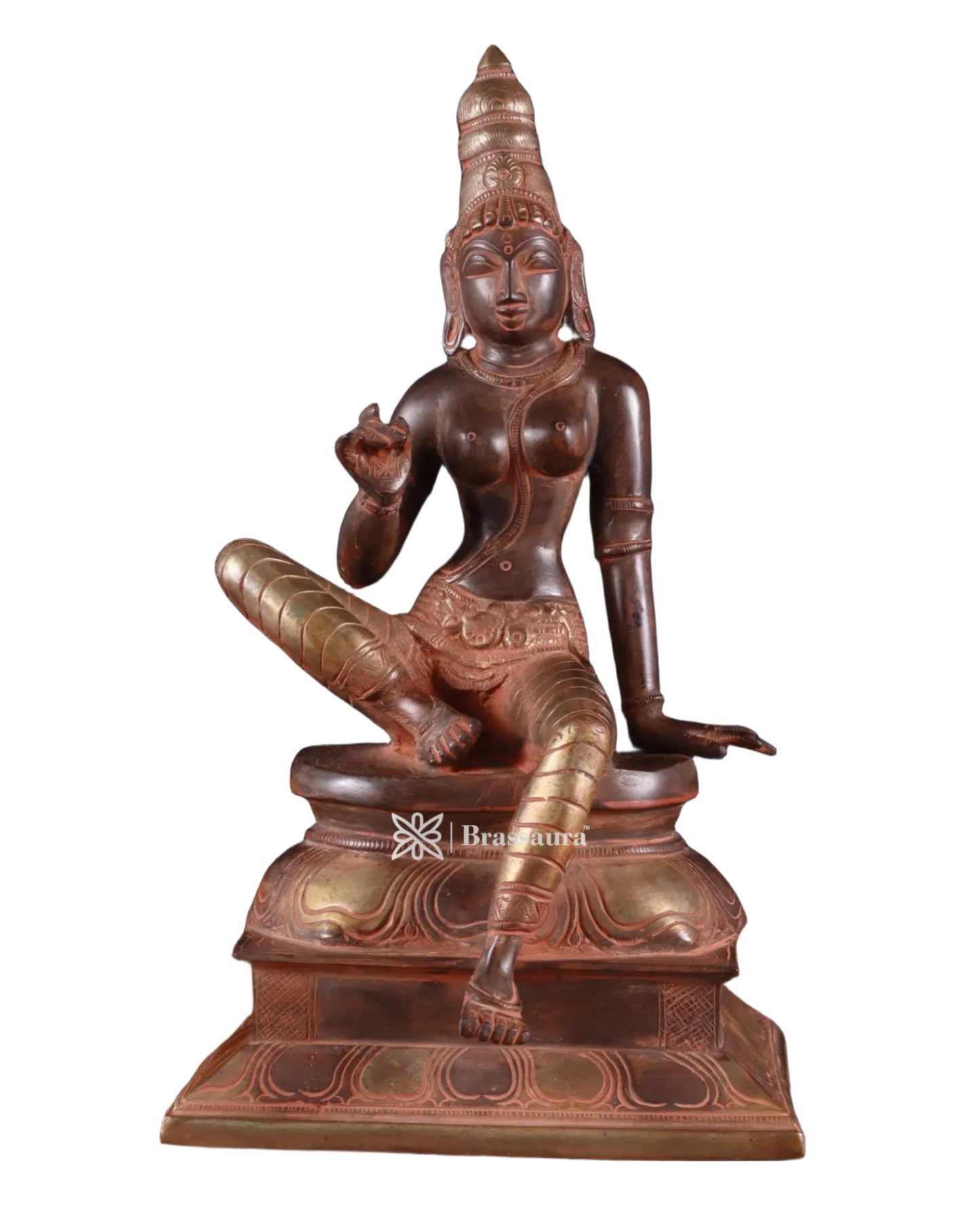Brassaura™ Pure Brass Seated Parvati Idol – 12 Inch Height, 4.06 Kg Weight – Black & Red Patina Finish Statue