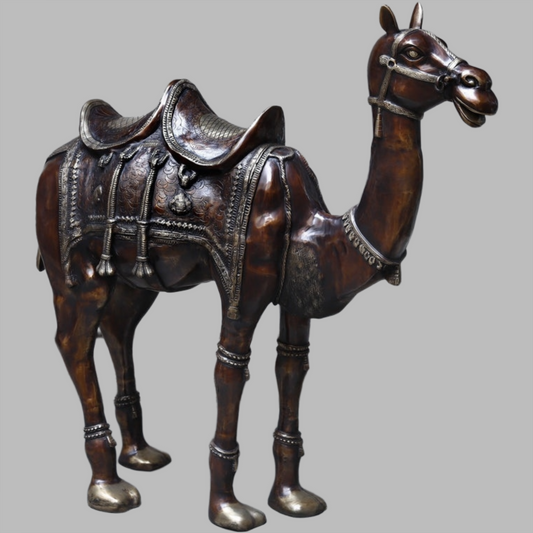 Brassaura™ Brass Big Camel for Home Decor | Height 49 Inches & Weight 108.450 kg