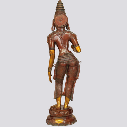 Brassaura® Padmadharini Parvati | Brass Statue | Height 45 Inches & Weight 25.80 kgs
