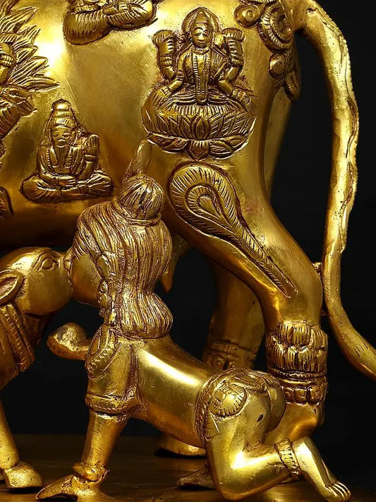 Brassaura® ब्रास कामधेनु गाय बछड़े और भक्ति नक्काशी के साथ | ऊँचाई 33 सेमी और वज़न 16.26 किग्रा