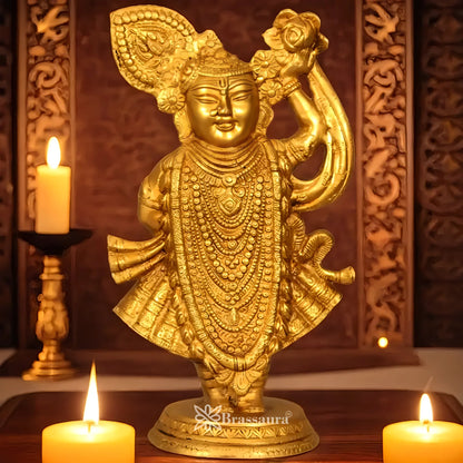 Brassaura® Lord Gowardhan Maharaj Standing Idol with Antique Brass Finish | Pure Superfine Brass Handcrafted Murti | Brass Statue for Home Temple, Pooja Room | Height 12.4 Inches | Weight 4 Kgs